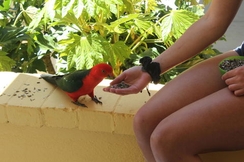 Bundanoon Lodge - Hotels Melbourne 4