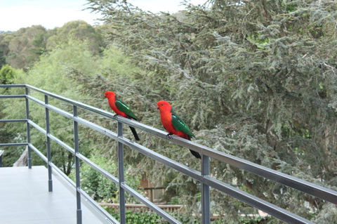Bundanoon Lodge - Hotels Melbourne 7