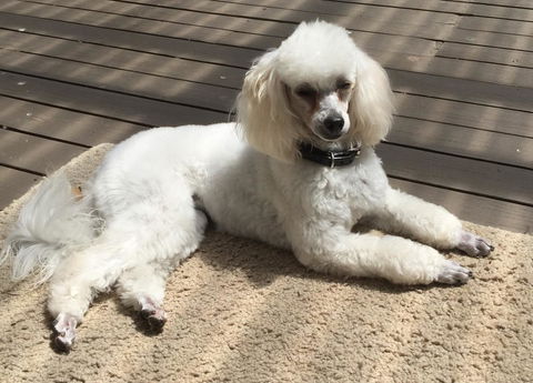 Bundanoon Lodge - Hotels Melbourne 14