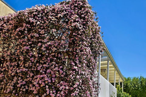 Bundanoon Lodge - Hotels Melbourne 13