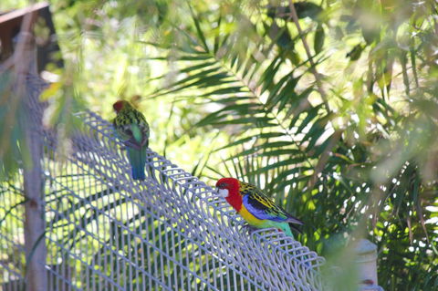 Marty's @ Little Beach - Hotels Melbourne 27