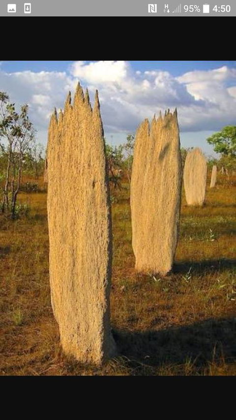 'Tropical Oasis - Darwin NT - Hotels Melbourne 33