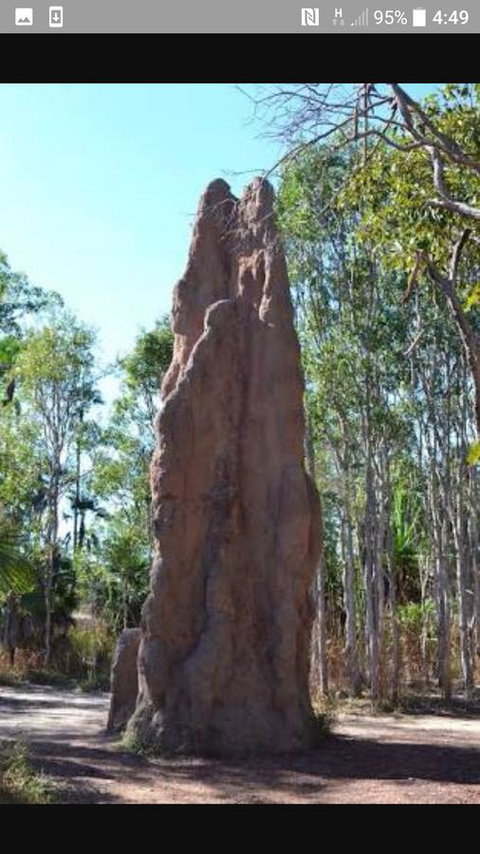 'Tropical Oasis - Darwin NT - Hotels Melbourne 31