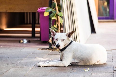 Jump Inn Alice Budget Accommodation - Hotels Melbourne 43