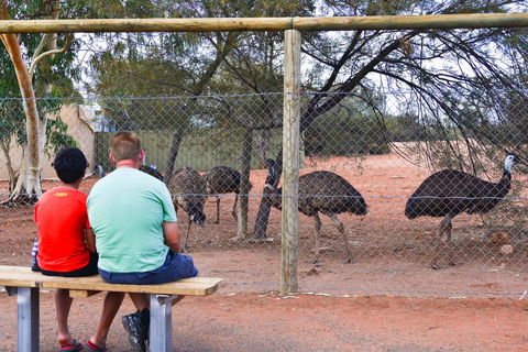 Erldunda Desert Oaks Resort - Hotels Melbourne 21
