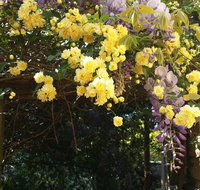 Bowral Road Bed and Breakfast - Hotels Melbourne