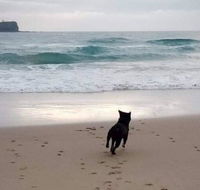 Breakers at Mudjimba Beach - Hotels Melbourne