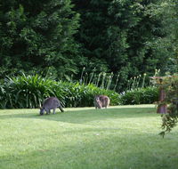 Bundanoon 2578 - Hotels Melbourne