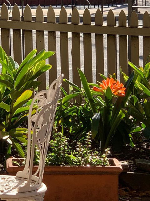 Burwood Bed And Breakfast - Hotels Melbourne 3