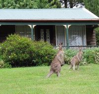 Cedar Lodge Cabins - Hotels Melbourne