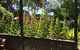 Clarevale Cottage B&B - thumb 1