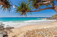 Book Coolum Accommodation Vacations Hotels Melbourne Hotels Melbourne