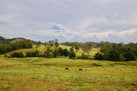 Book Kandanga Accommodation Vacations Hotels Melbourne Hotels Melbourne