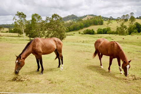 Country Breeze Farm Stay - Hotels Melbourne 1