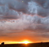 creative 3D sculpture share - Hotels Melbourne