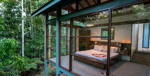 Crystal Creek Rainforest Retreat - Hotels Melbourne 3