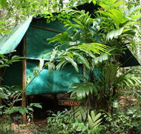 Daintree Crocodylus - Hotels Melbourne