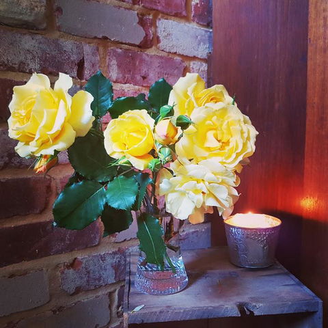 Darlington House - Hotels Melbourne 3