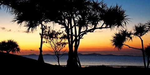 Driftwood Motel And Holiday Units - Hotels Melbourne 2