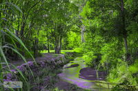 Book Esk Accommodation Vacations Hotels Melbourne Hotels Melbourne