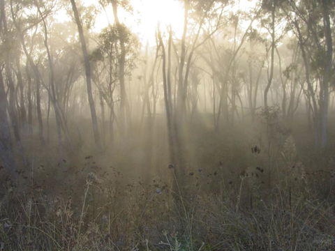 Fergies Hill Spa Cottage @ Granite Ridge Wines - Hotels Melbourne 1