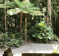 Forest Views Daintree - Hotels Melbourne