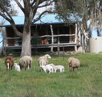 Gaddleen Grove Cottages - Hotels Melbourne