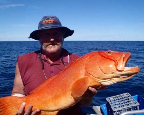 Gnaraloo Station - Homestead - Hotels Melbourne 1