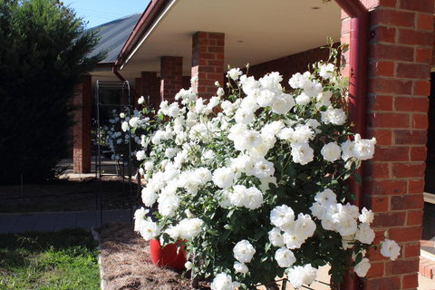 Gundaroo Manor Bed & Breakfast - Hotels Melbourne 3