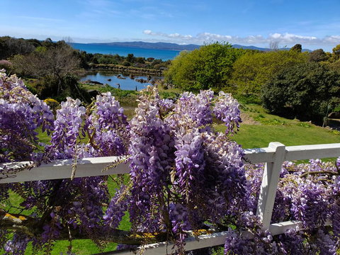 Hawley House - Hotels Melbourne 3