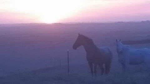 High View Family Cottages - Hotels Melbourne 1