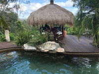 Book Maudsland Accommodation Vacations Hotels Melbourne Hotels Melbourne
