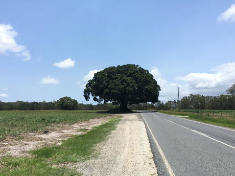 Jacobbs Well - Hotels Melbourne 1