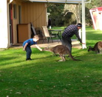 Kalgan River Chalets and Caravan Park - Hotels Melbourne