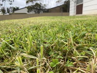 Book Karoonda Accommodation Vacations Hotels Melbourne Hotels Melbourne