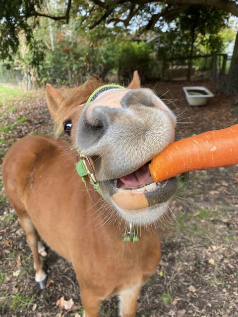 Kongwak Views - Hotels Melbourne 2