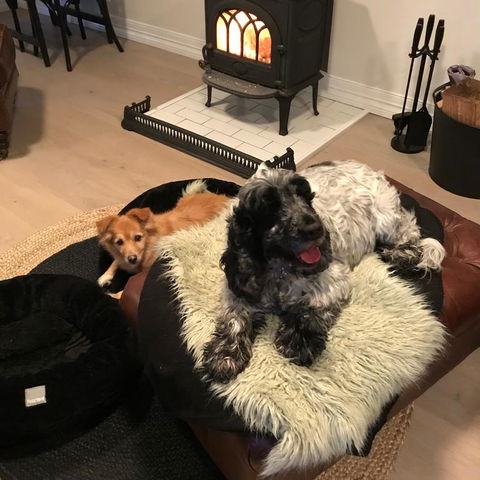 Leddicott Cottage - Hotels Melbourne 3