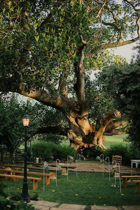 Maddies Of Bolwarra - Hotels Melbourne 3