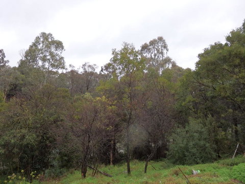 Mandall Avenue - Hotels Melbourne 2