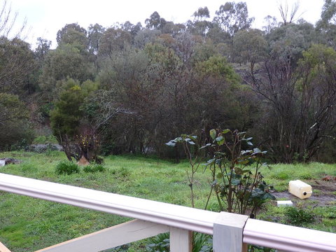 Mandall Avenue - Hotels Melbourne 1