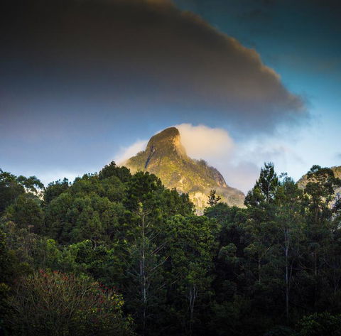Mavis's Cabins @ Mt Warning - Hotels Melbourne 1