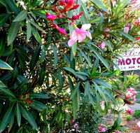 Mercury motor inn - Hotels Melbourne