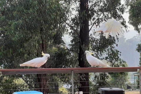 Merry Mary Casa - Hotels Melbourne 3