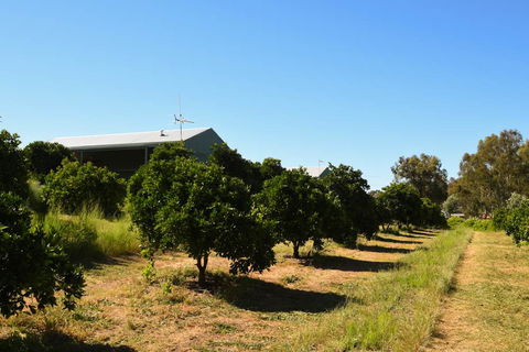 Swan Valley Sisters - Hotels Melbourne 29