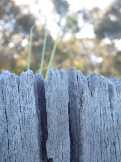 Swan Valley Sisters - Hotels Melbourne 28