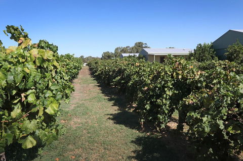 Swan Valley Sisters - Hotels Melbourne 9