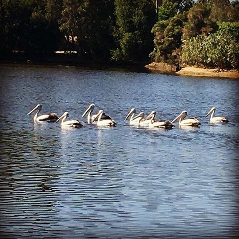 Swan Valley Sisters - Hotels Melbourne 31