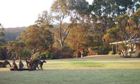 Book Walpole Accommodation Vacations Hotels Melbourne Hotels Melbourne