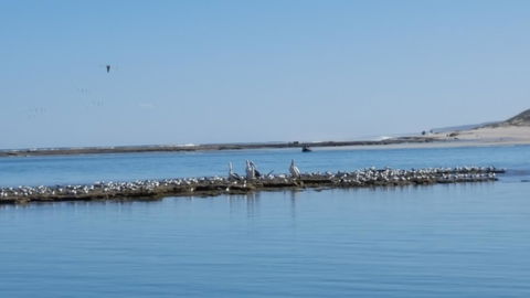 Kalbarri Seaview Villas - Hotels Melbourne 33