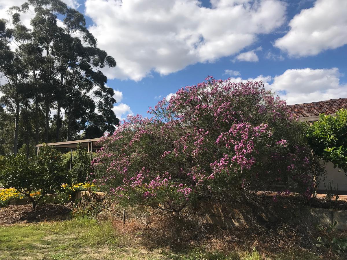 Aubin Grove WA Hotels Melbourne